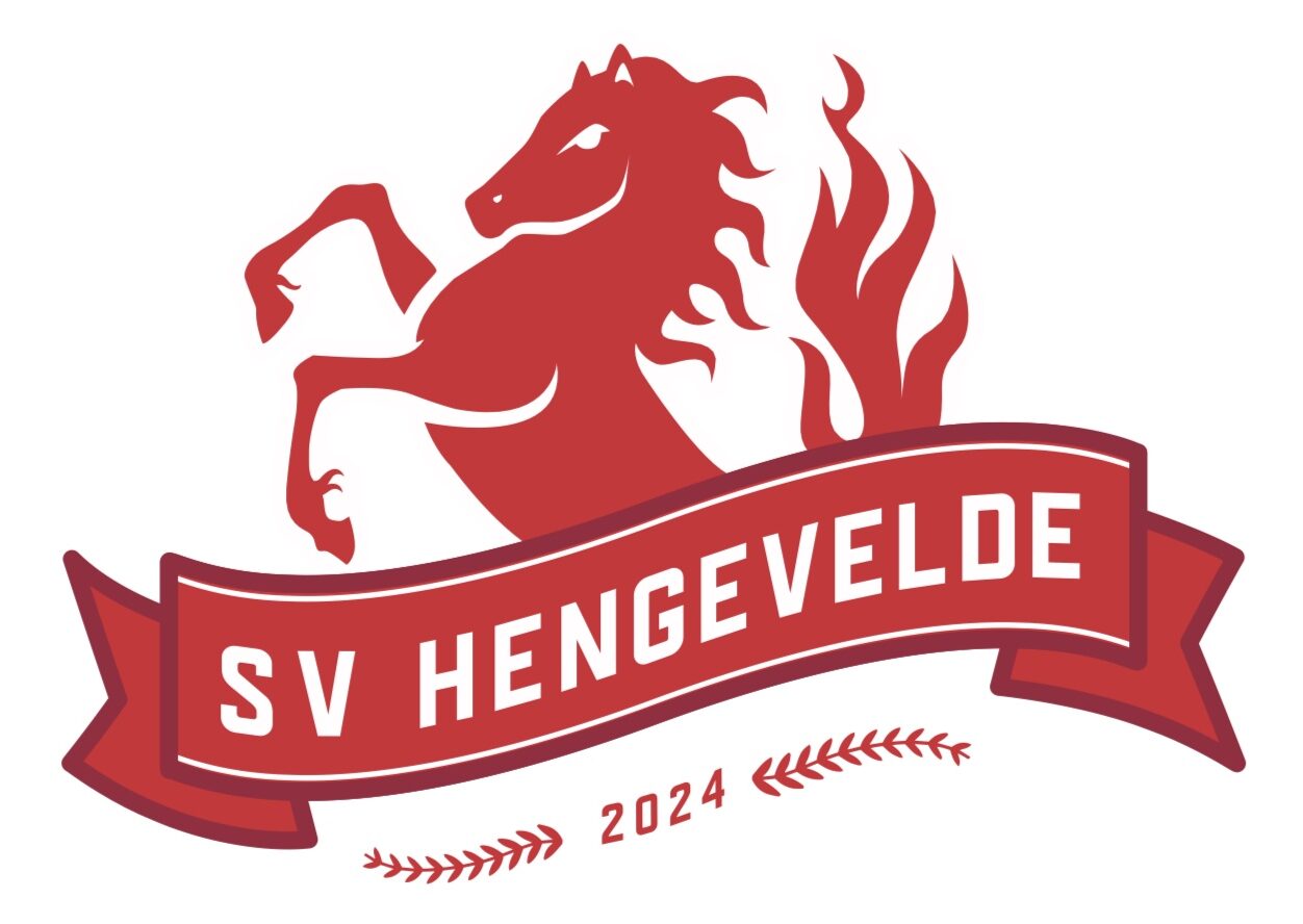 SV Hengevelde logo